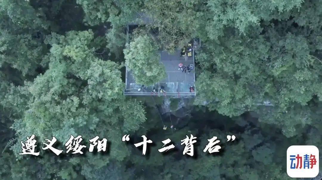拯救米乐米可