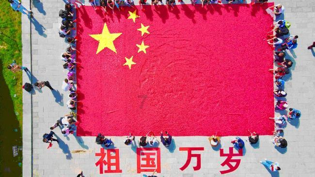 探奇萌萌丫：大颗粒积木